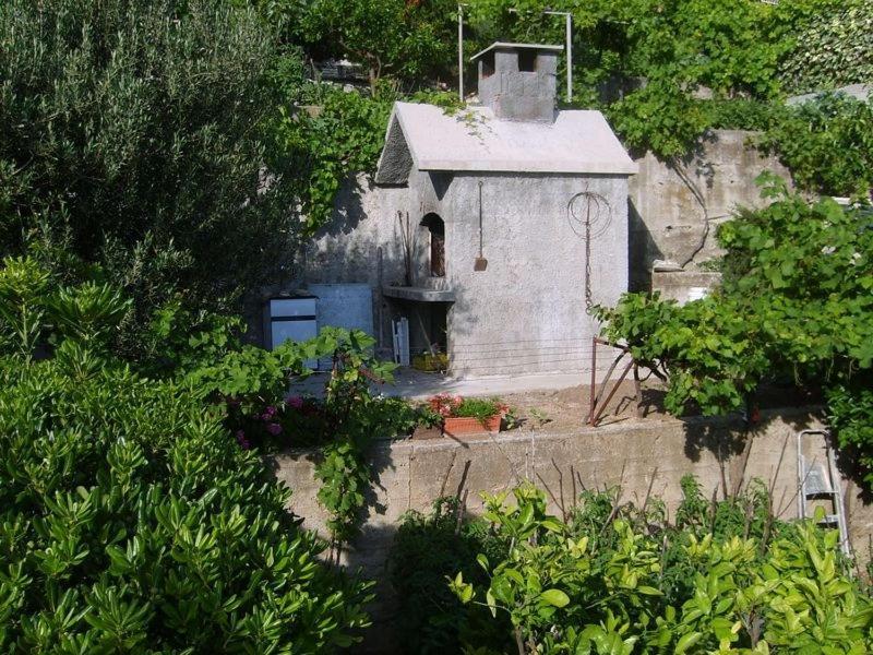 Apartment Borak Omiš Exterior foto